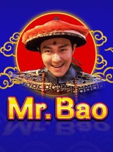 Mr.Bao